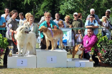 Bull's of Normandy Godiva's - 1 EX / MEILLEUR JEUNE / 3e BOG