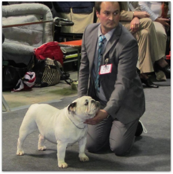 CH. Illona van Trod - 4eme EXCELLENT