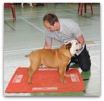 Curtis du Terroir du Gautereau - EXCELLENT