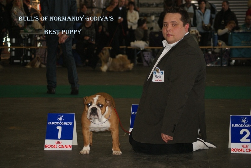 Bull's of Normandy Godiva's - classe puppy - 1er TP BEST PUPPY