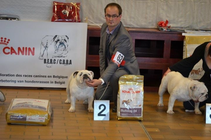 CH. Illona van Trod - 2e EXCELLENT