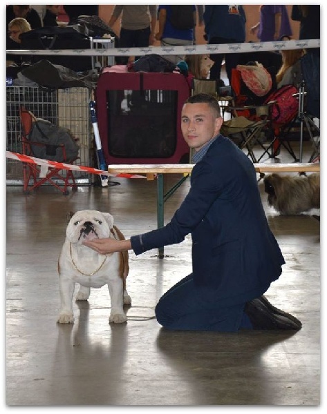 CH. Bull's of Normandy I'm tyson - 2eme EXCELLENT / RCAC / RCACIB