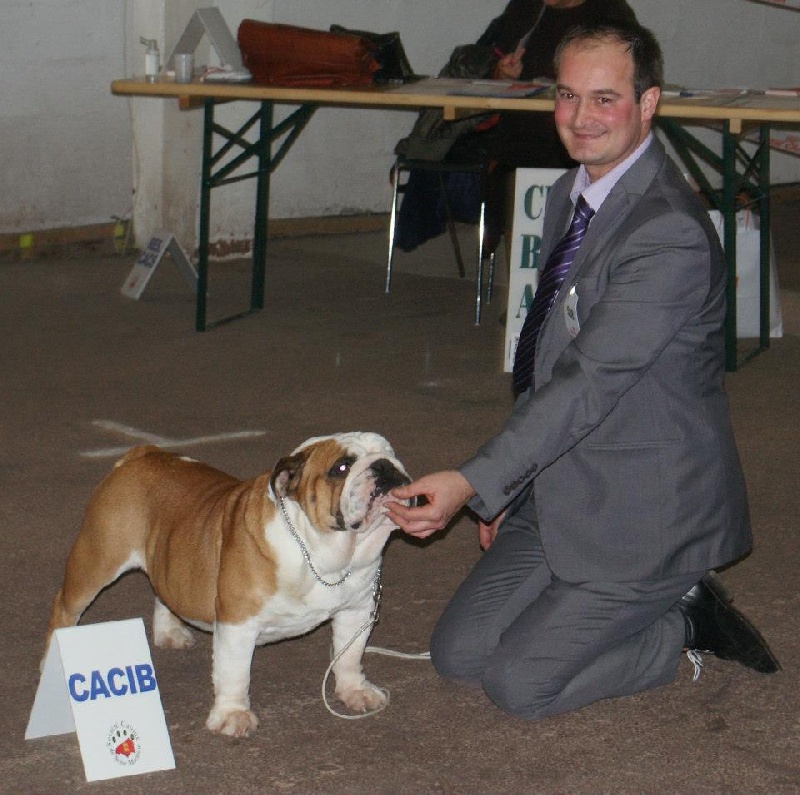 CH. Eace of Fashion-Bull's - 1er Excellent / CACIB / CACS / BOS