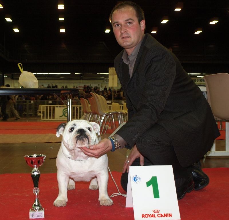 CH. Illona van Trod - 1 Très Prometteur + MEILLEUR PUPPY
