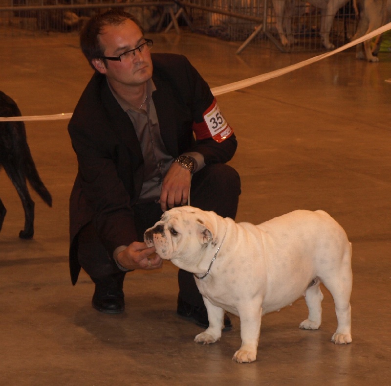 CH. Illona van Trod - classe jeune-1er Excellent / Meilleur JEUNE / BEST OF BREED / 3e du GROUPE 2