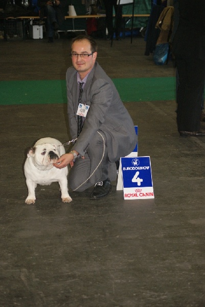 CH. Illona van Trod - classe ouverte - 4e EXCELLENT