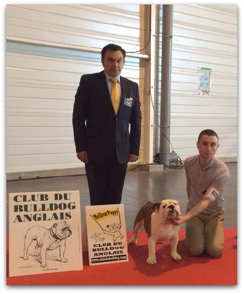 CH. Bull's of Normandy I'm tyson - 1er TP / BEST PUPPY