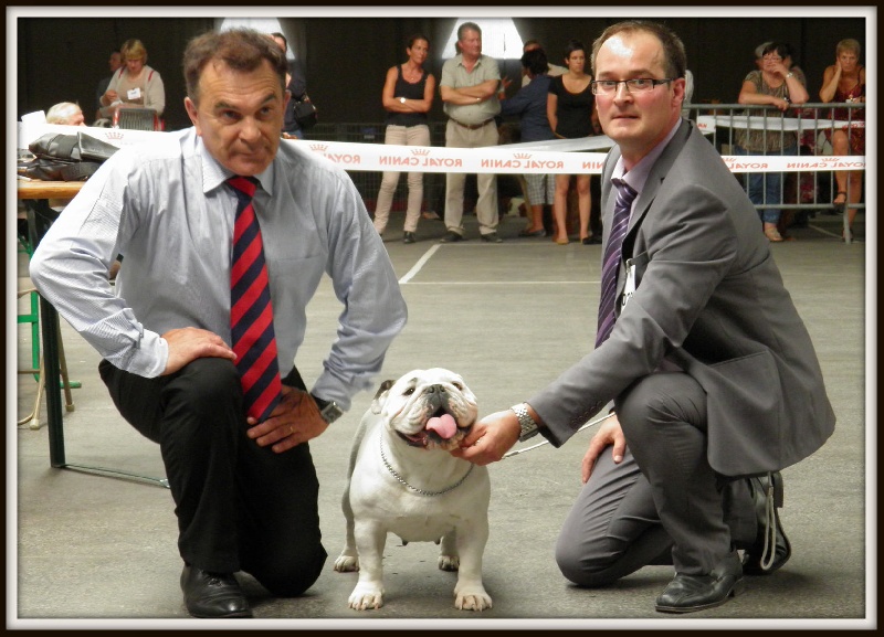 CH. Illona van Trod - 1 EX / CACIB / MEILLEUR DE RACE (BOB)