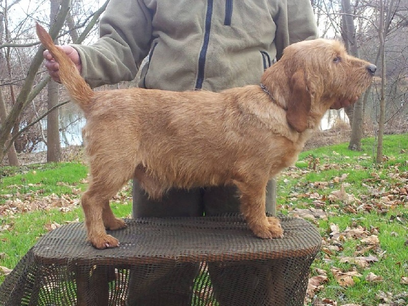 Publication : De Lann Ar Loch