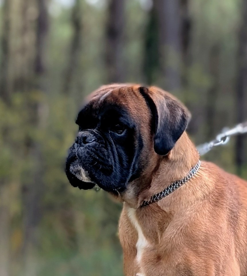 Publication : des Pitchoucas de Lacapelette