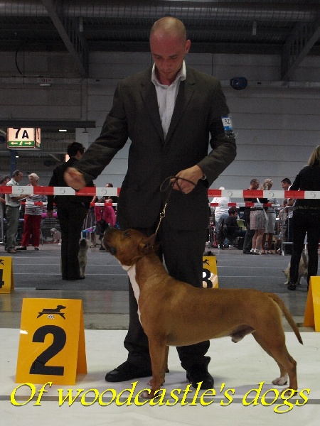 Red king of ring's - 2 eme Excellent Classe Ouverte R.C.A.C.L.