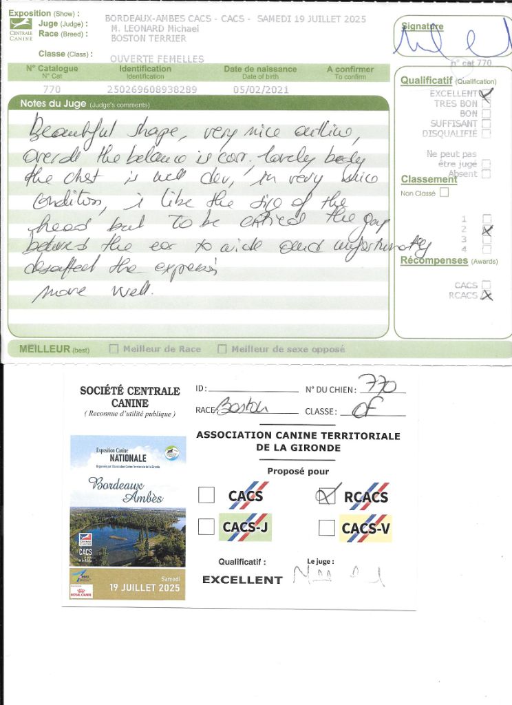 CH. Sexy girly Sweeties Doggies - 2° EXC RCACS classe ouverte