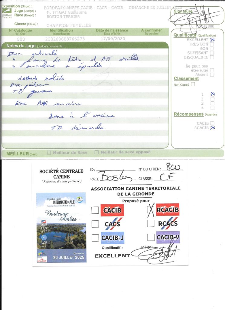 CH. Renaissance Sweeties Doggies - 1° EXC RCACIB classe Champion