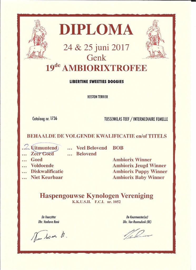 CH. Libertine Sweeties Doggies - 2° EXCELLENT classe intermédiaire