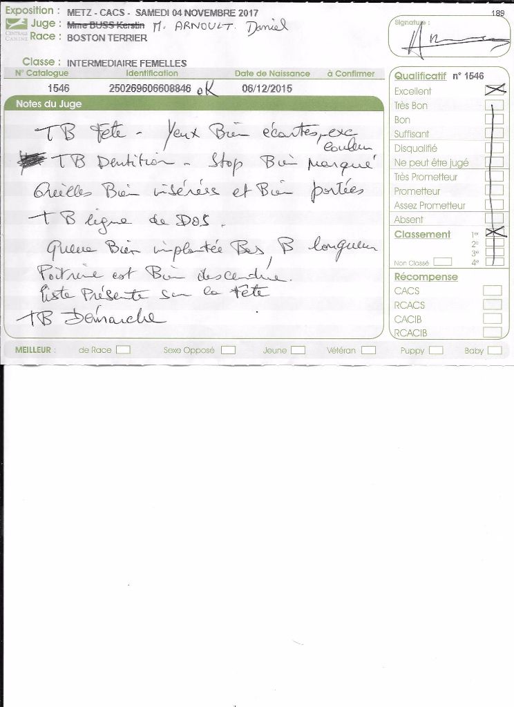 CH. Libertine Sweeties Doggies - 1° EXC classe intermédiaire