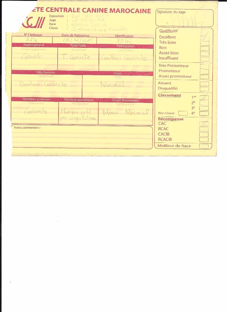 CH. Libertine Sweeties Doggies - 1° EXC CAC classe intermédiaire