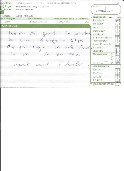 Jalousie Sweeties Doggies - 4° EXCELLENTE classe jeune