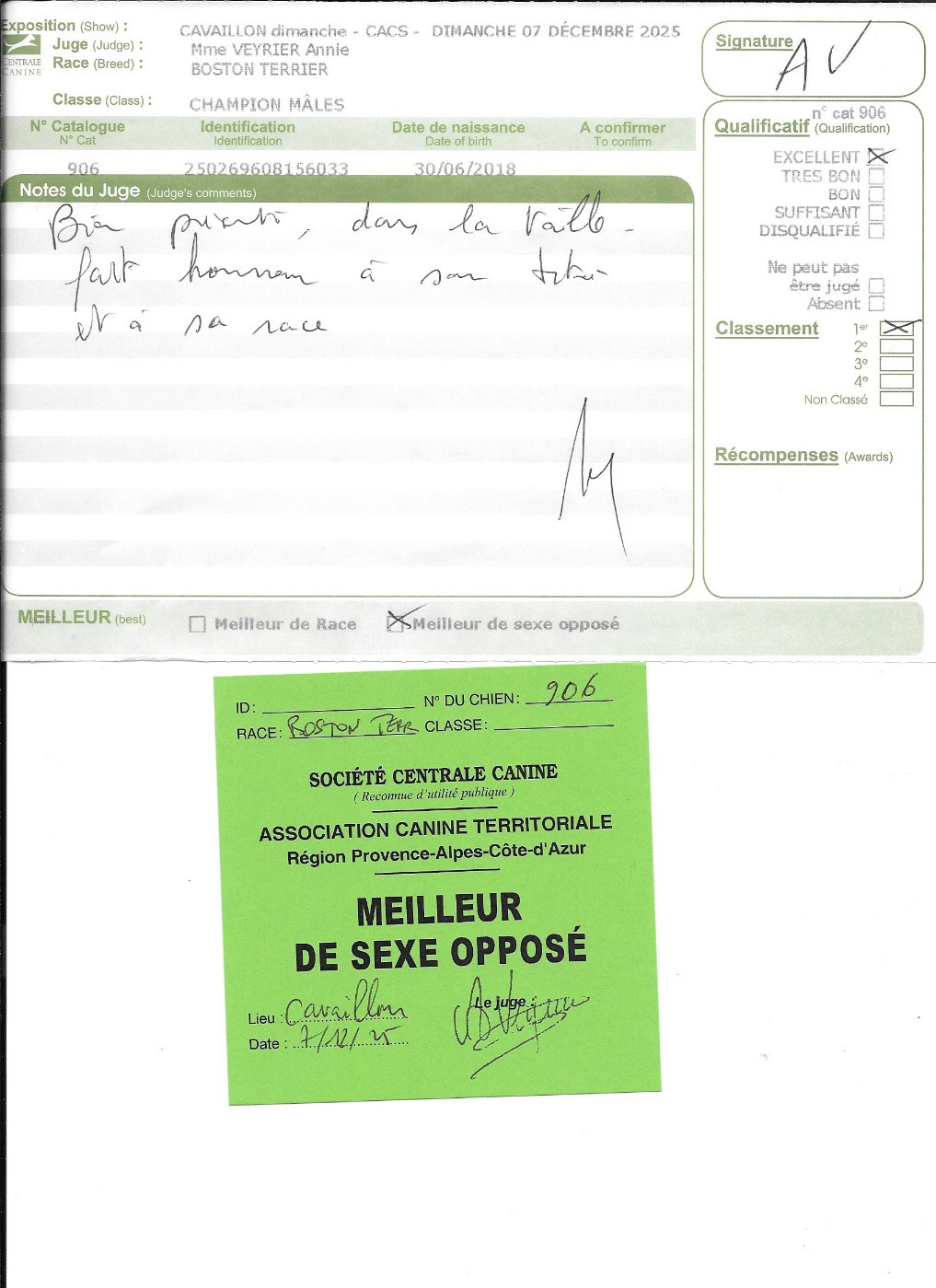 CH. Opus Sweeties Doggies - 1°exc BOS classe Champion