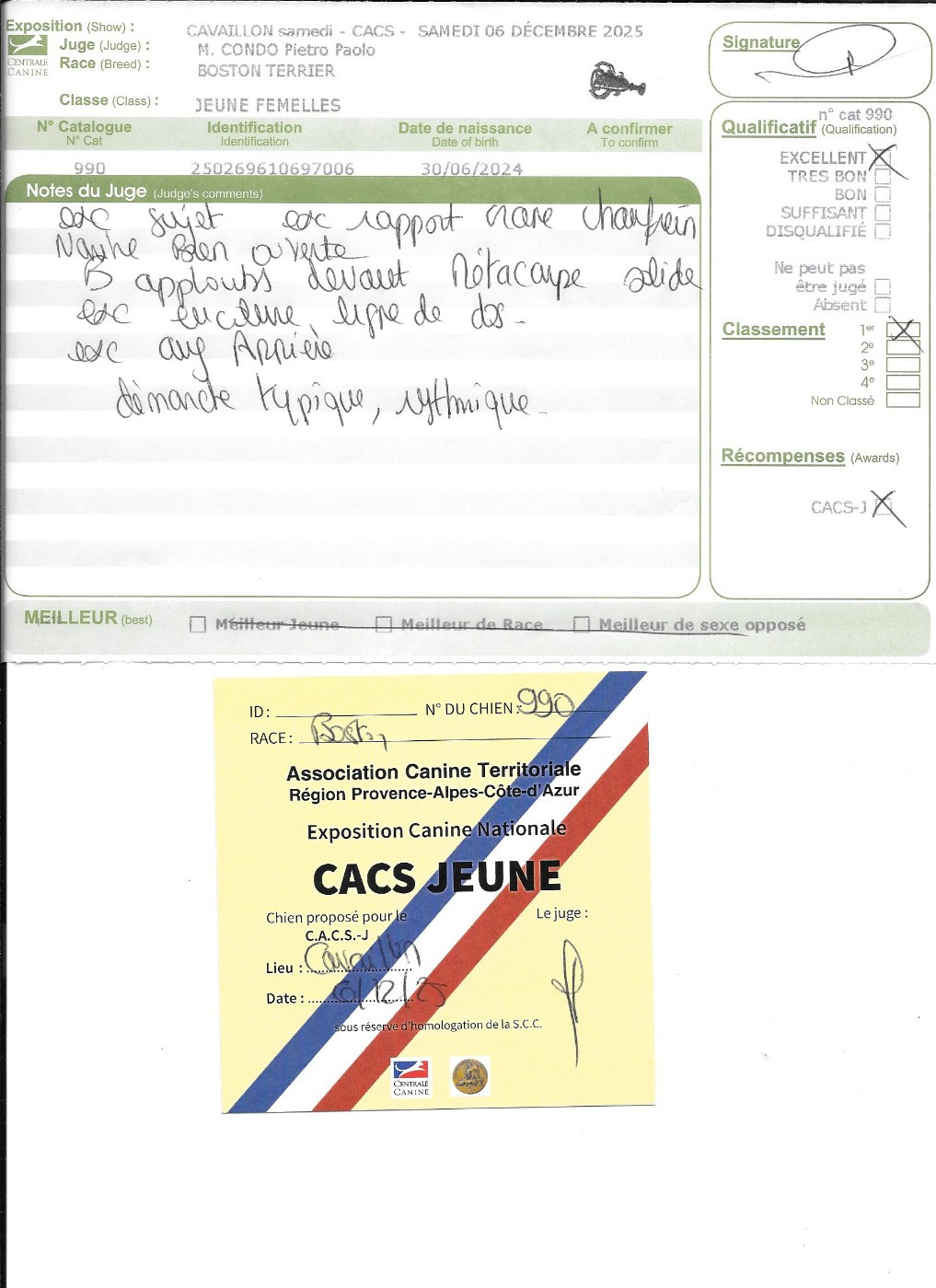 Verone Sweeties Doggies - 1° EXC CACSjeune Spéciale de Race