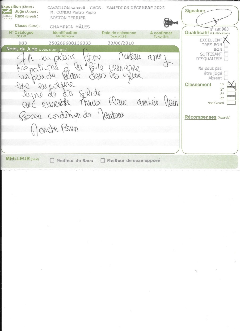 CH. Opus Sweeties Doggies - 1° EXC classe Champion Spéciale de Race