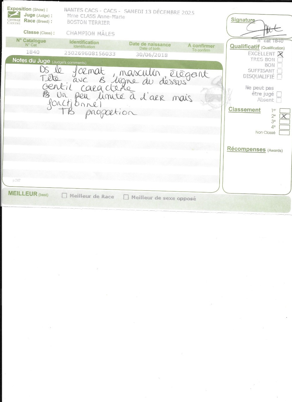 CH. Opus Sweeties Doggies - 2° EXC classe Champion