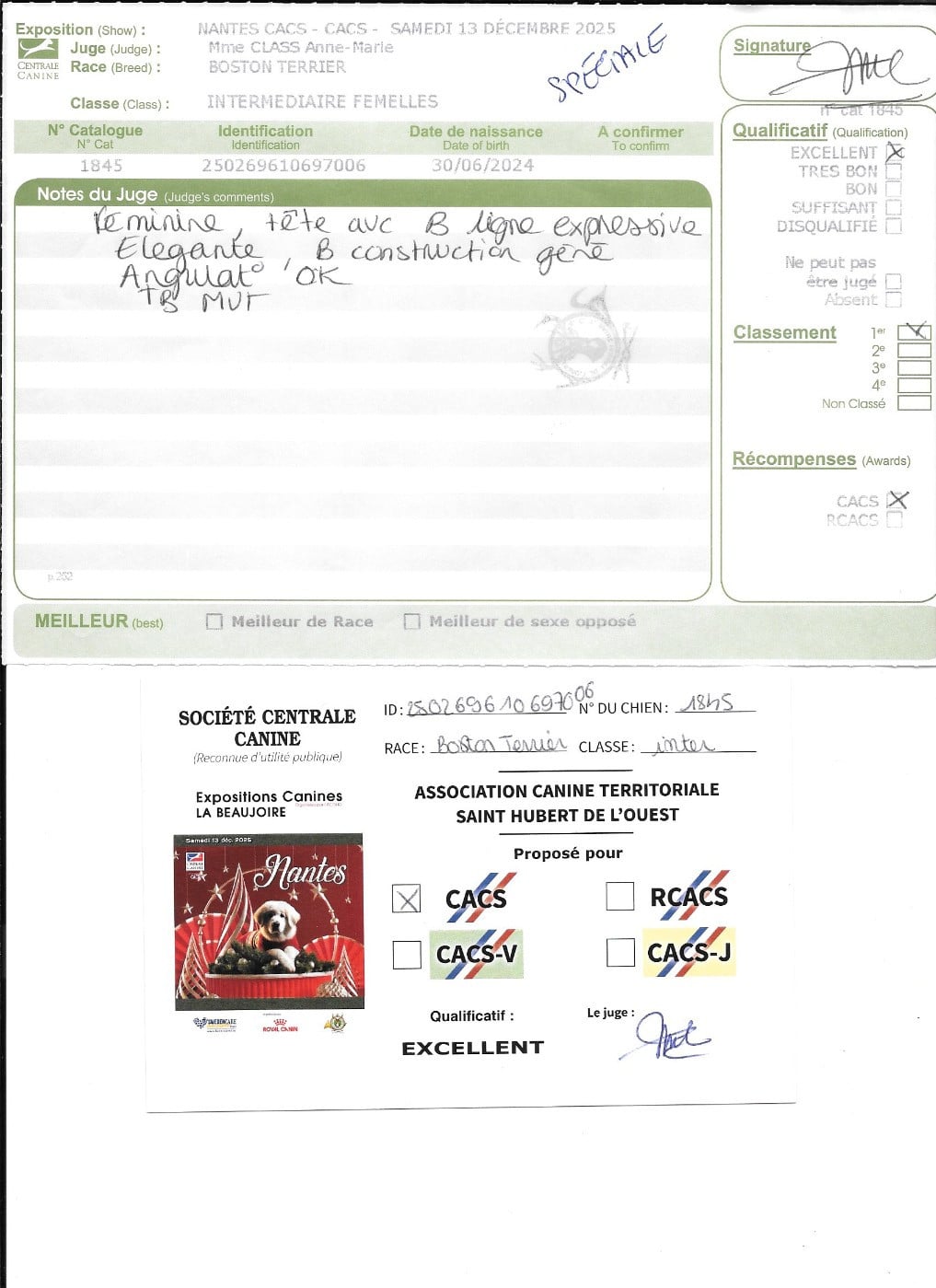 Verone Sweeties Doggies - 1° EXC CACS classe intermédiaire SPECIALE de RACE