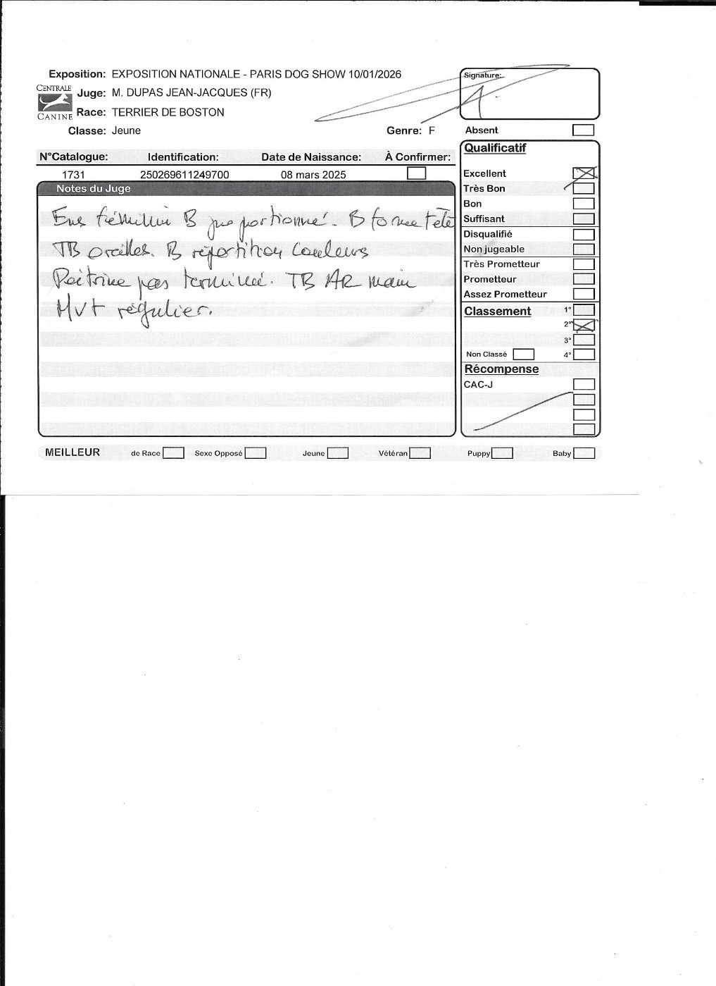 Agate Sweeties Doggies - 2° EXCELLENT classe jeune