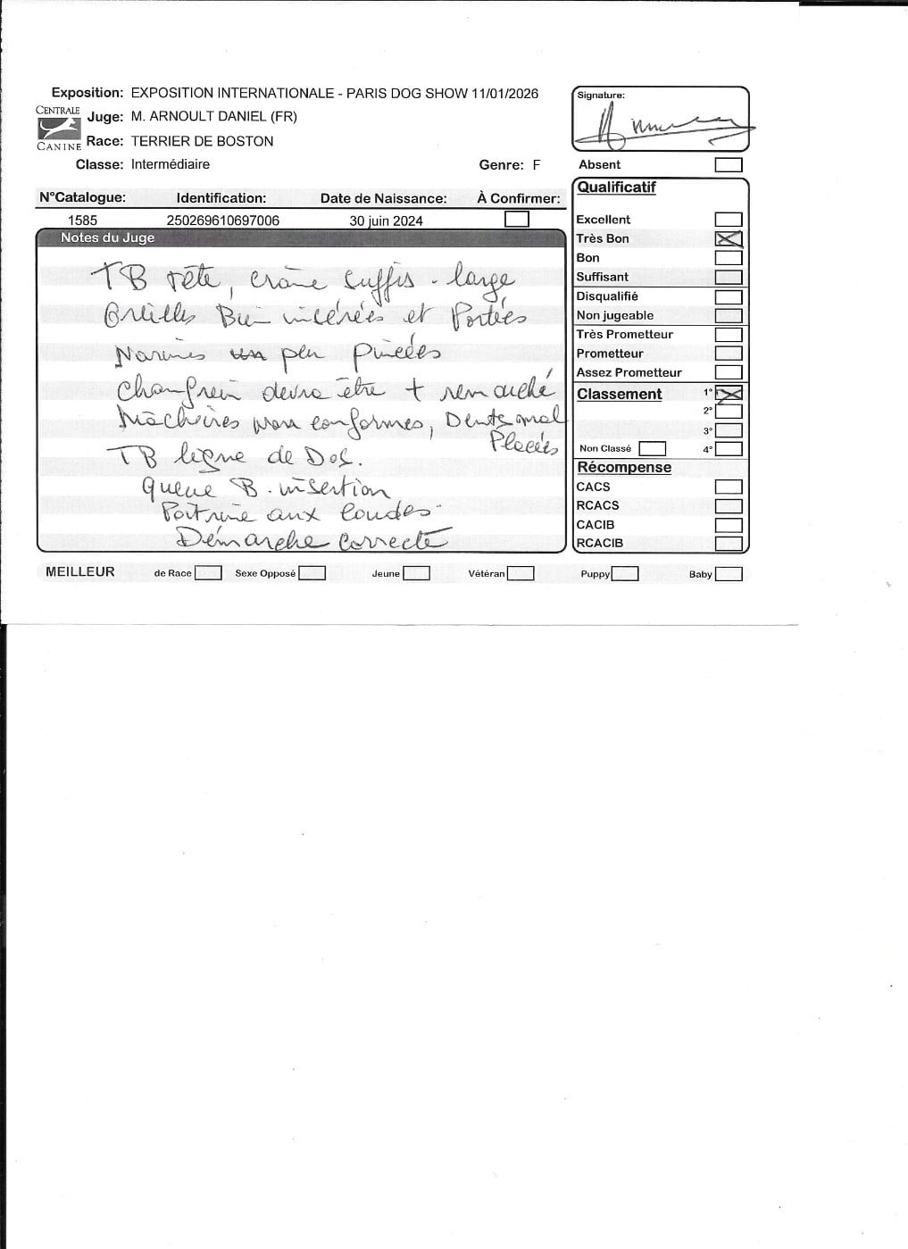 Topaze Sweeties Doggies - 1° très bon classe ouverte