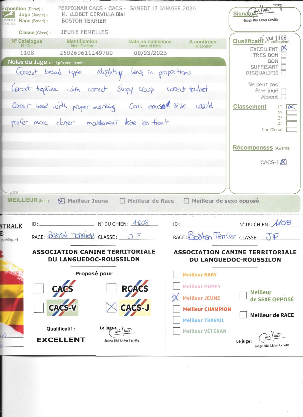 Agate Sweeties Doggies - CACS jeune MEILLEUR JEUNE