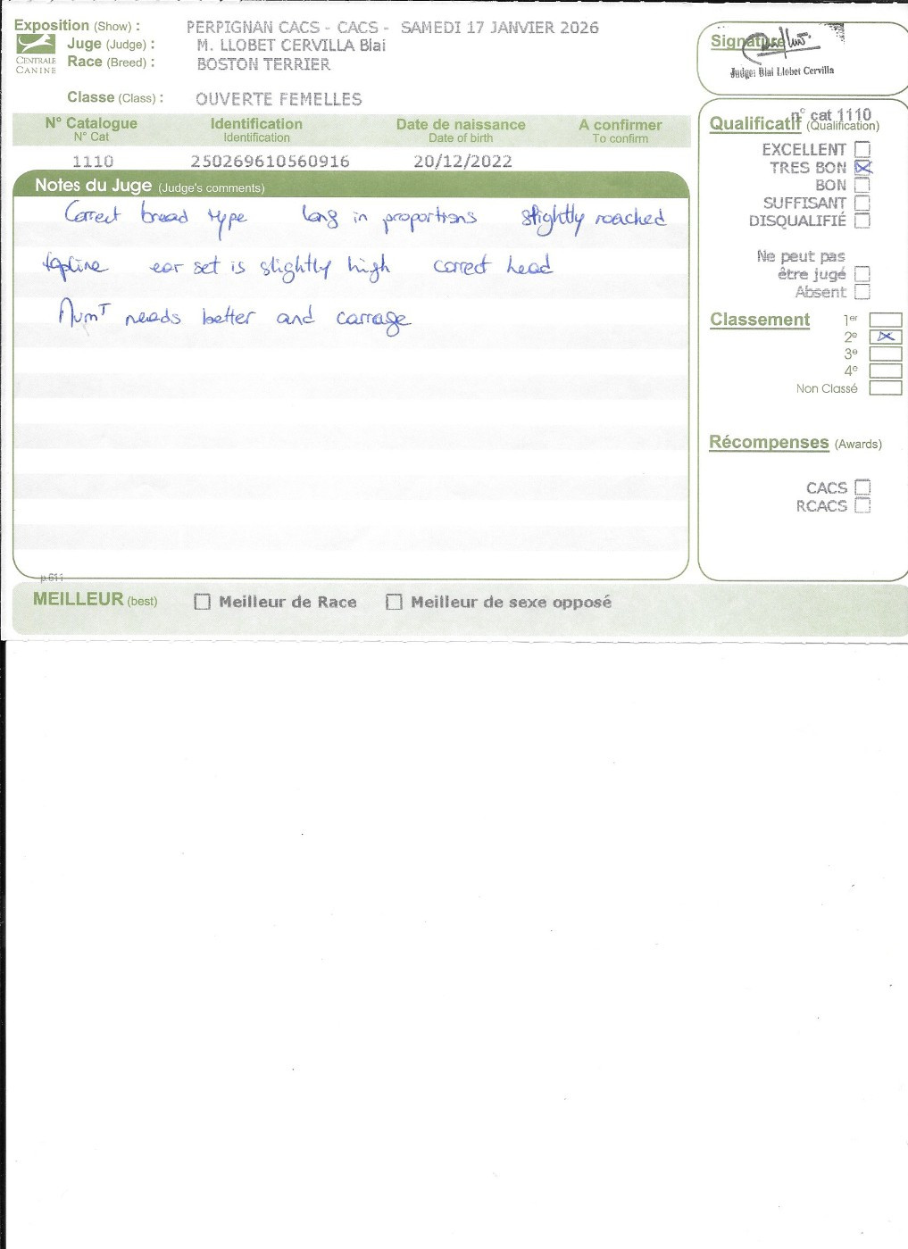 Topaze Sweeties Doggies - 2° très bon classe ouverte