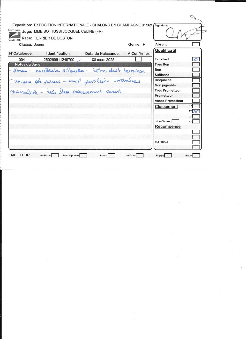 Agate Sweeties Doggies - 2° EXC classe jaune