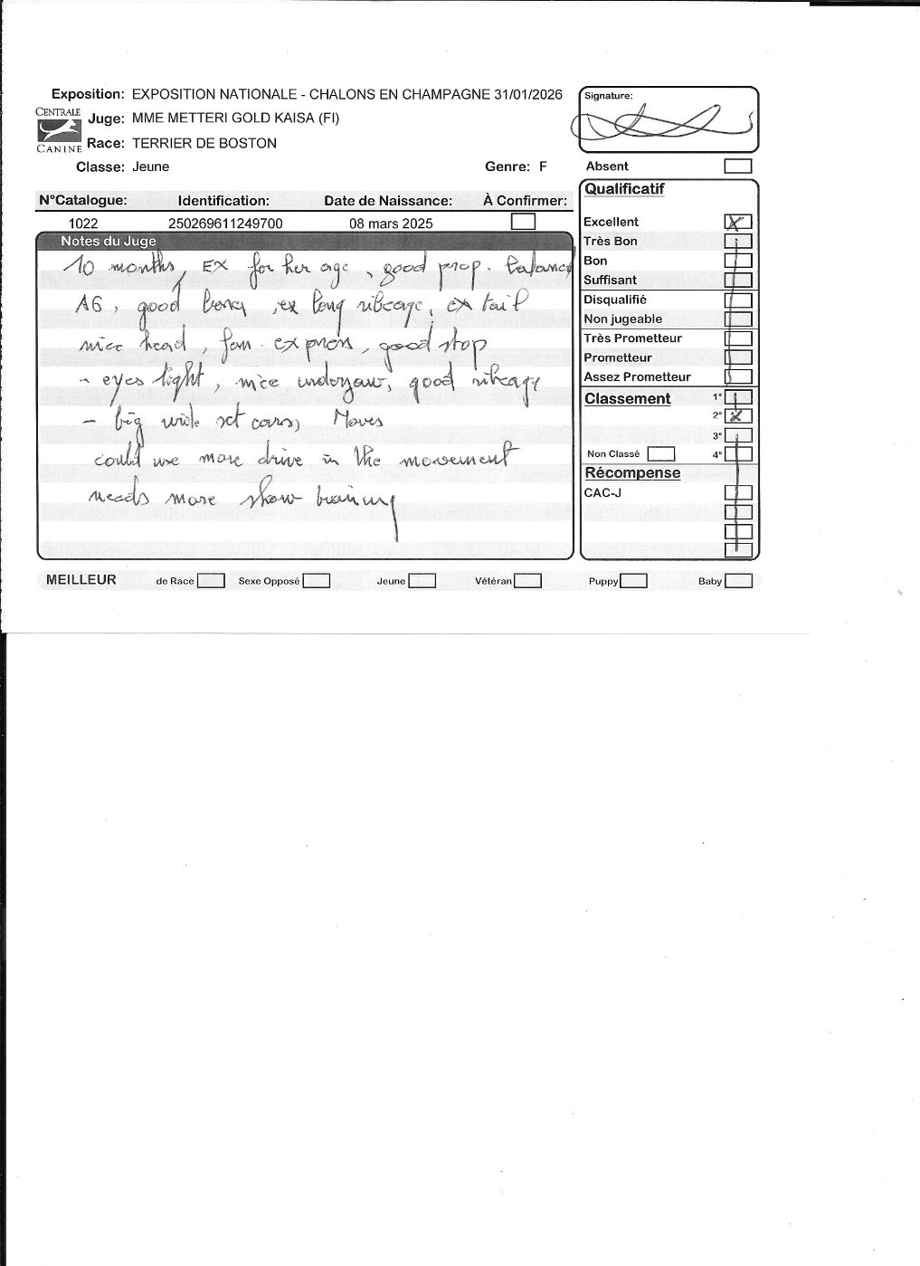 Agate Sweeties Doggies - 2° EXC classe jeune Spéciale de Race