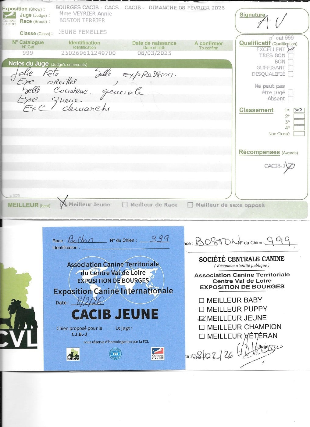 Agate Sweeties Doggies - CACIB jeune Meilleur Jeune