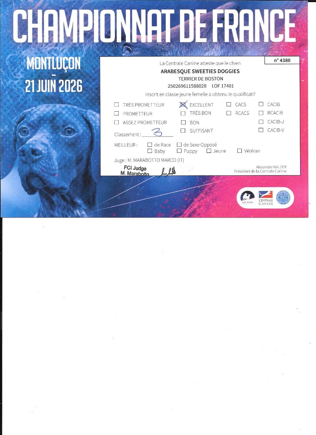 Arabesque Sweeties Doggies - 3° EXCELLENT classe jeune