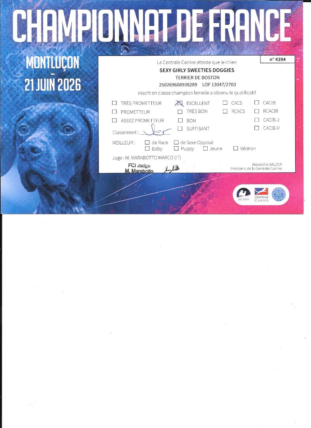 CH. Sexy girly Sweeties Doggies - 1° EXC classe Champion
