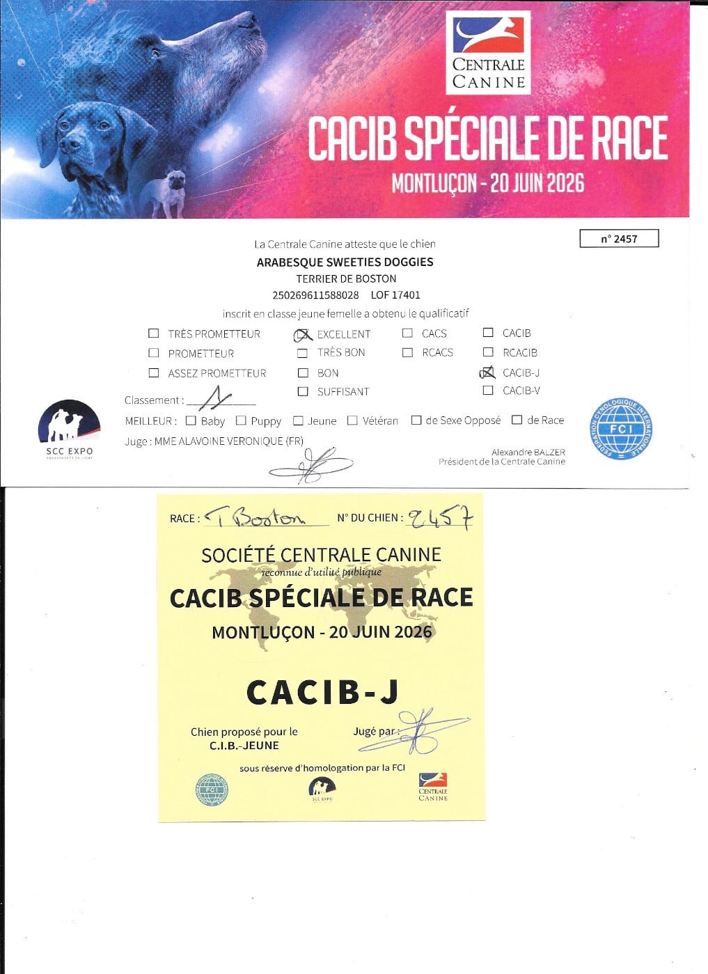 Arabesque Sweeties Doggies - 1° EXCELLENT CACIB jeune