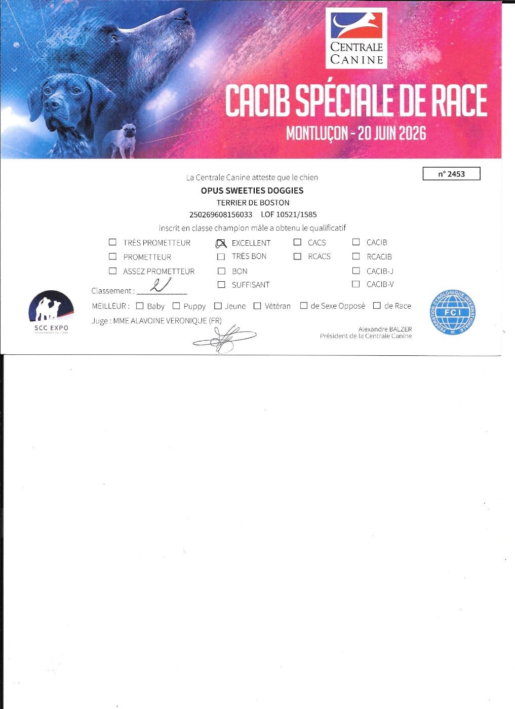 CH. Opus Sweeties Doggies - 2° EXC classe Champion