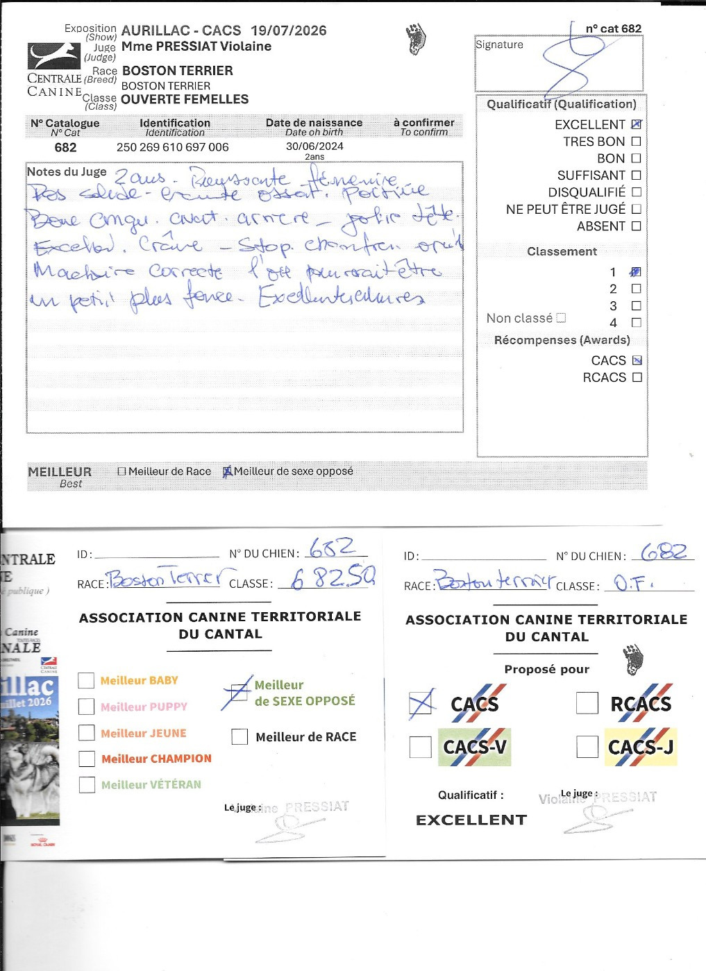 Verone Sweeties Doggies - 1° EXC CACS BOS