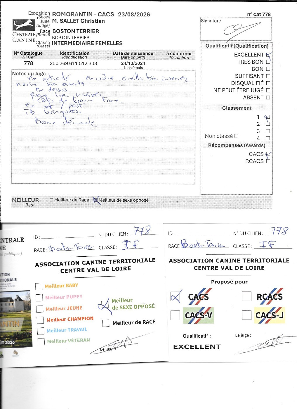 Victoire Sweeties Doggies - 1° EXCELLENT CACS BOS classe intermédiaire