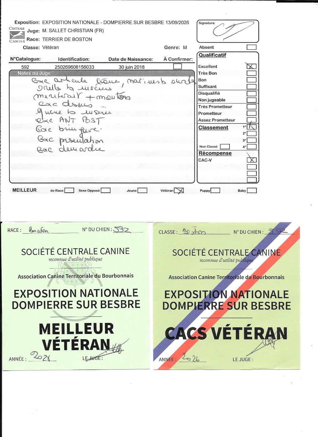 CH. Opus Sweeties Doggies - CACS Vétéran MEILLEUR VETERAN