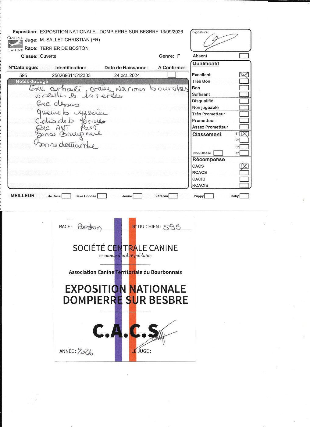 Victoire Sweeties Doggies - 1° EXC CACS classe ouverte
