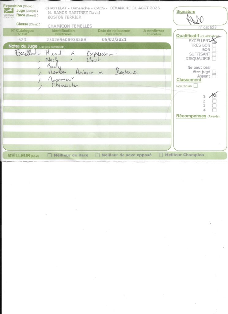 CH. Sexy girly Sweeties Doggies - 1° EXC classe Champion