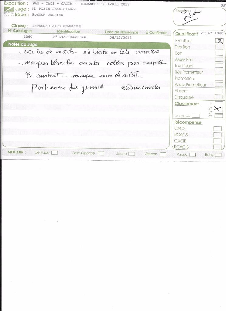 CH. Libertine Sweeties Doggies - 2° EXCELLENT classe intermédiaire