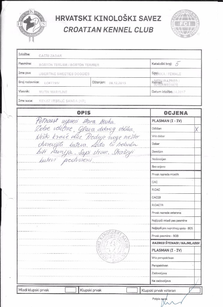 CH. Libertine Sweeties Doggies - 1° TRÈS BON classe intermédiaire