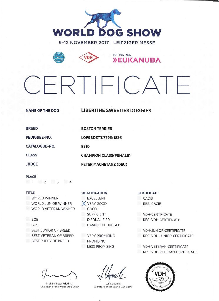 CH. Libertine Sweeties Doggies - TRÈS BON classe champion