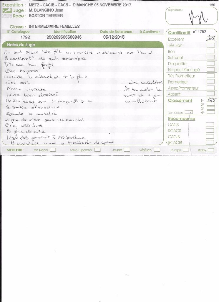 CH. Libertine Sweeties Doggies - 1° EXCELLENT classe intermédiaire