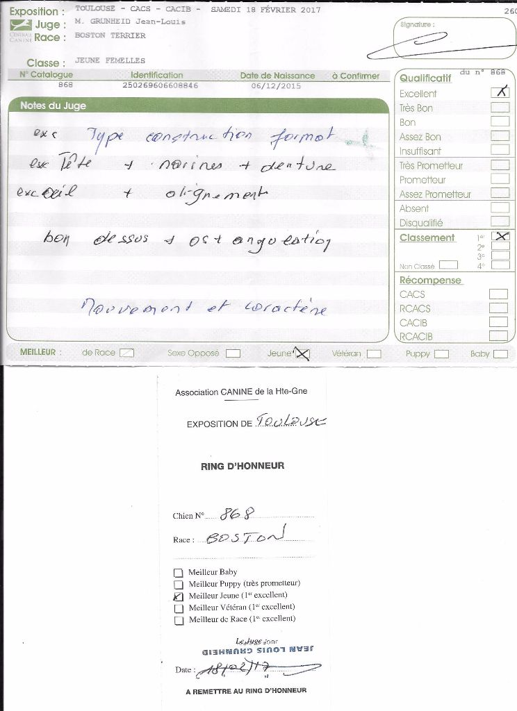 CH. Libertine Sweeties Doggies - MEILLEUR JEUNE