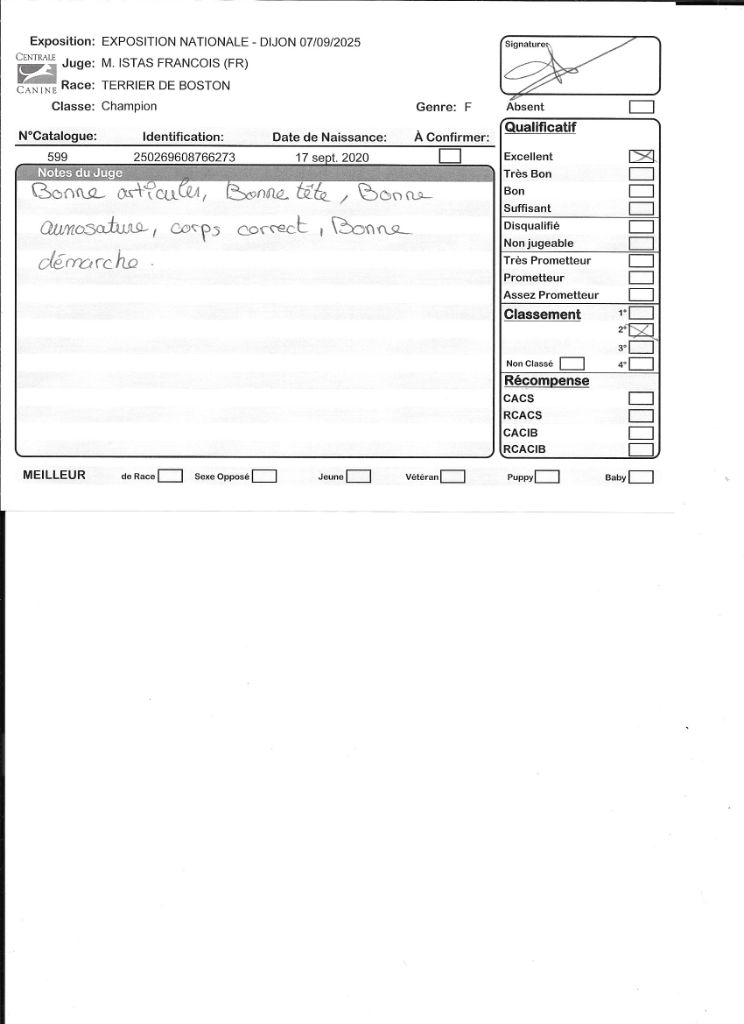 CH. Renaissance Sweeties Doggies - 2° EXC classe Champion