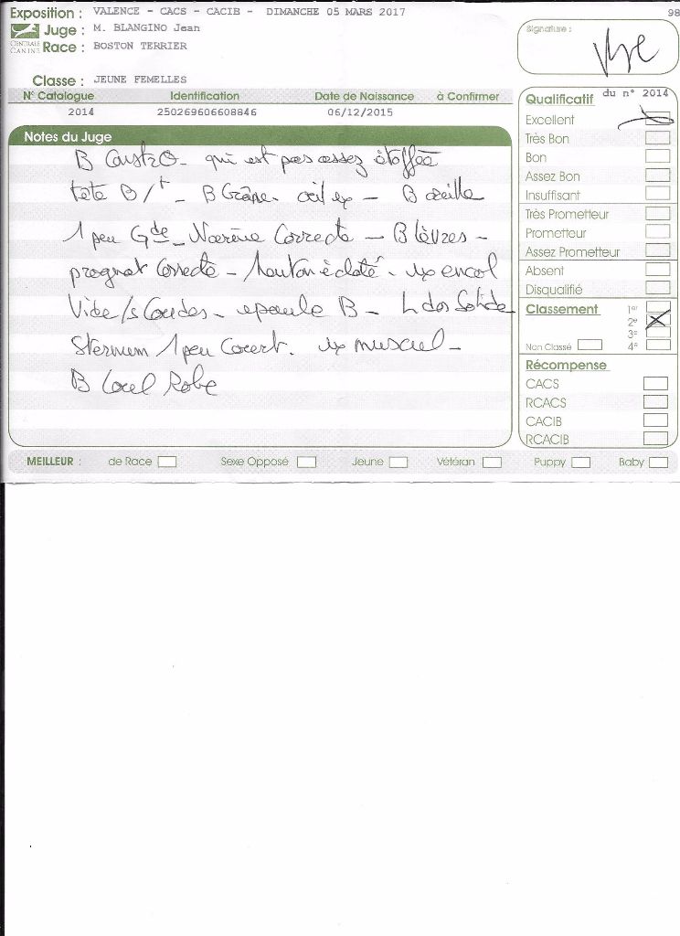 CH. Libertine Sweeties Doggies - 2° EXCELLENT classe jeune