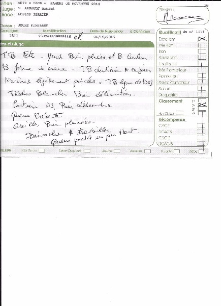 CH. Libertine Sweeties Doggies - 2° EXCELLENT classe jeune